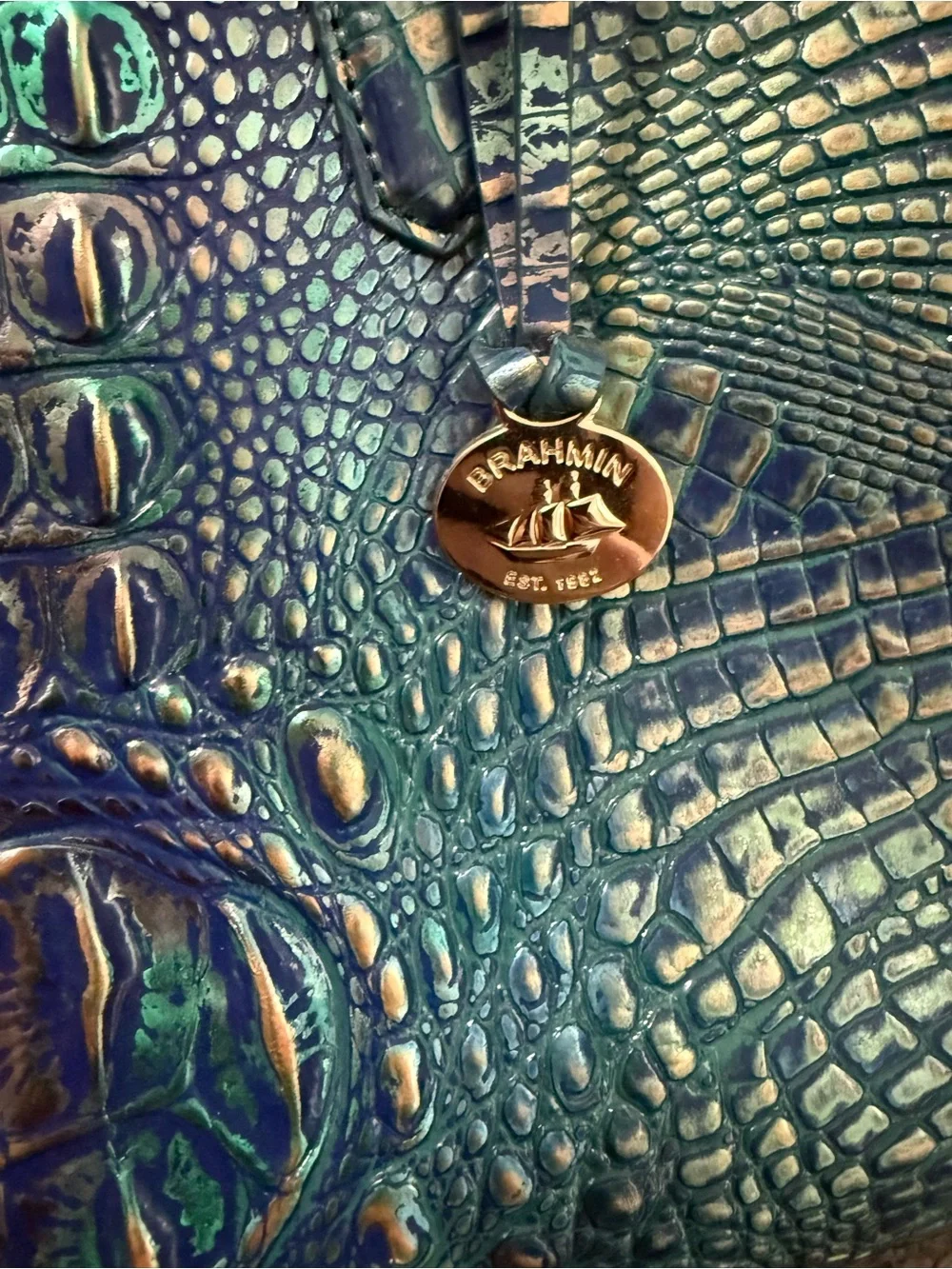 Brahmin this bag